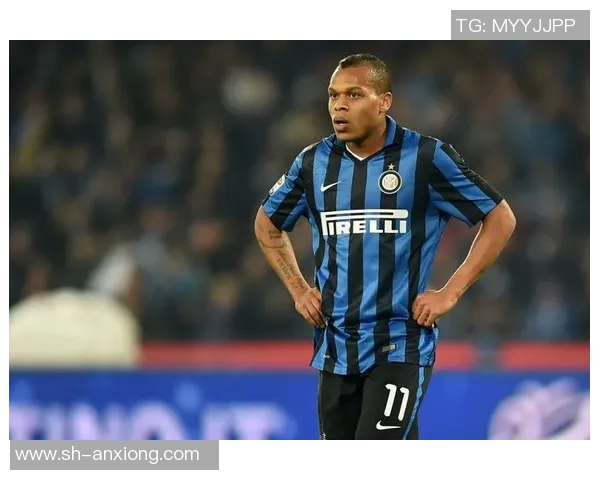 雷奥纳多足球明星的传奇之路与辉煌成就探秘